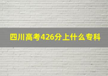 四川高考426分上什么专科