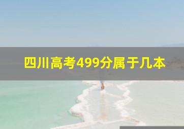 四川高考499分属于几本