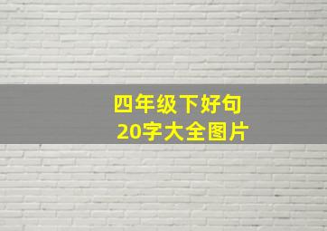 四年级下好句20字大全图片