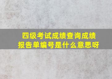 四级考试成绩查询成绩报告单编号是什么意思呀