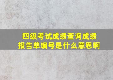 四级考试成绩查询成绩报告单编号是什么意思啊