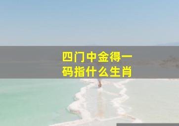 四门中金得一码指什么生肖