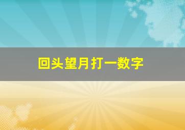 回头望月打一数字