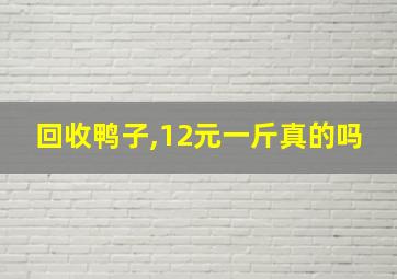 回收鸭子,12元一斤真的吗