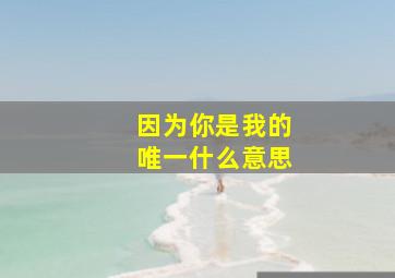 因为你是我的唯一什么意思