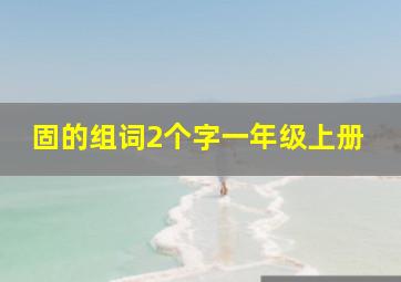 固的组词2个字一年级上册