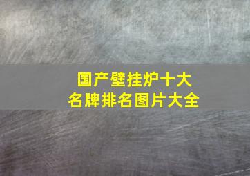 国产壁挂炉十大名牌排名图片大全