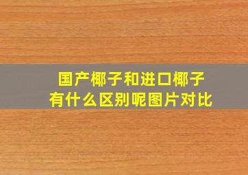 国产椰子和进口椰子有什么区别呢图片对比