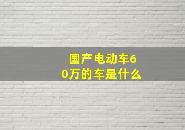 国产电动车60万的车是什么