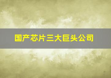 国产芯片三大巨头公司