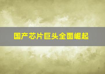 国产芯片巨头全面崛起