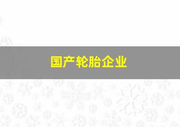 国产轮胎企业