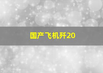 国产飞机歼20