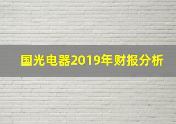 国光电器2019年财报分析