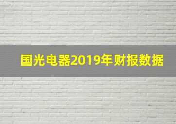 国光电器2019年财报数据