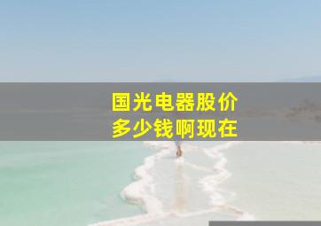 国光电器股价多少钱啊现在