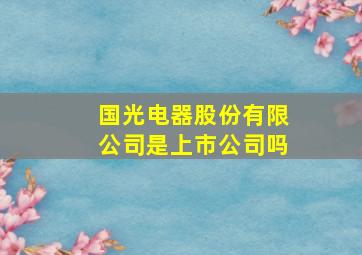 国光电器股份有限公司是上市公司吗