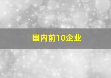 国内前10企业