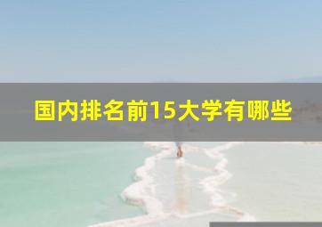 国内排名前15大学有哪些