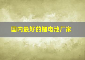 国内最好的锂电池厂家