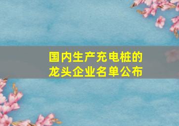 国内生产充电桩的龙头企业名单公布