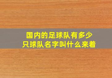 国内的足球队有多少只球队名字叫什么来着