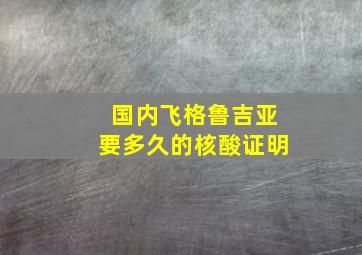 国内飞格鲁吉亚要多久的核酸证明