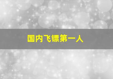 国内飞镖第一人