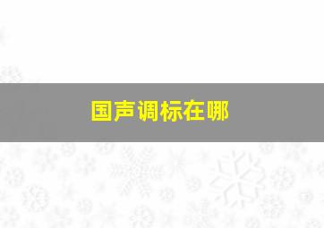 国声调标在哪