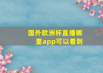 国外欧洲杯直播哪里app可以看到