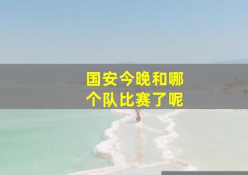 国安今晚和哪个队比赛了呢