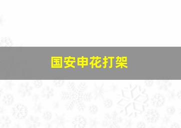 国安申花打架