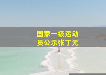 国家一级运动员公示张丁元