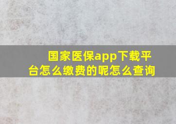 国家医保app下载平台怎么缴费的呢怎么查询