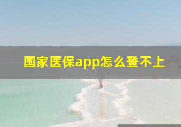 国家医保app怎么登不上