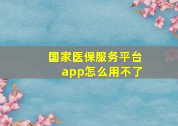 国家医保服务平台app怎么用不了