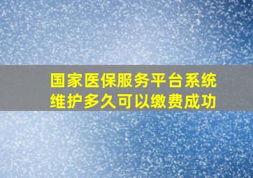 国家医保服务平台系统维护多久可以缴费成功