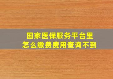 国家医保服务平台里怎么缴费费用查询不到