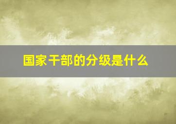 国家干部的分级是什么