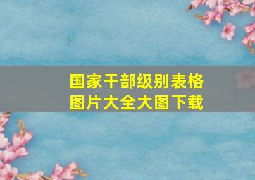 国家干部级别表格图片大全大图下载