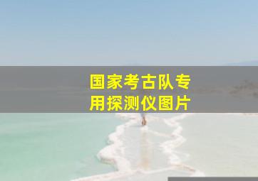 国家考古队专用探测仪图片