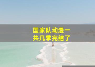 国家队动漫一共几季完结了