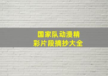 国家队动漫精彩片段摘抄大全