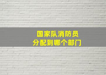 国家队消防员分配到哪个部门