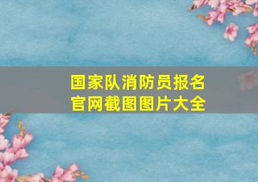 国家队消防员报名官网截图图片大全