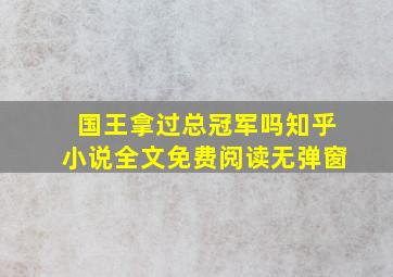 国王拿过总冠军吗知乎小说全文免费阅读无弹窗