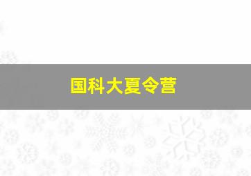 国科大夏令营