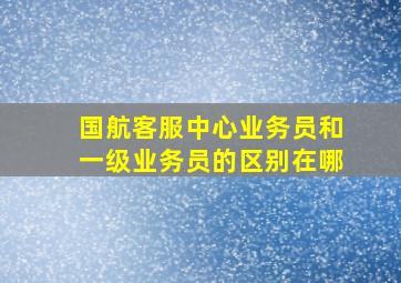 国航客服中心业务员和一级业务员的区别在哪