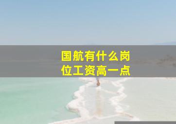 国航有什么岗位工资高一点