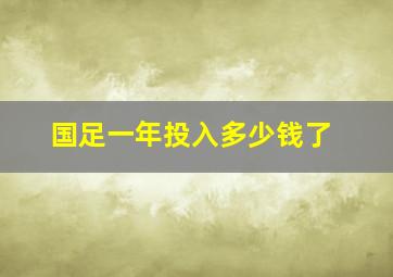 国足一年投入多少钱了